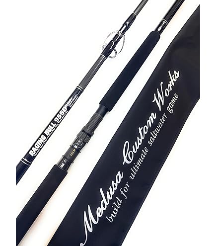 Amazon | MC works/MCワークス EXPLOSION EX836CTR “Full contact